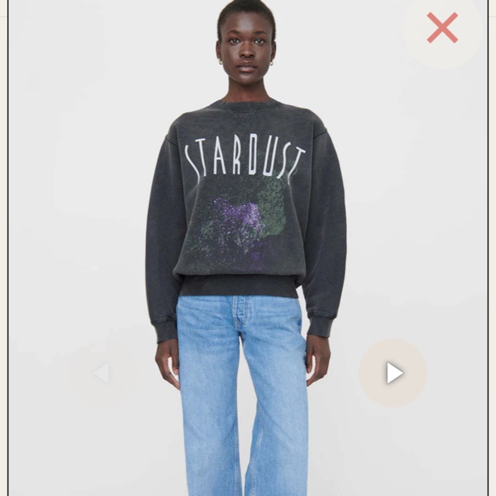 Anine Bing Ramona Stardust Sweatshirt Size Small